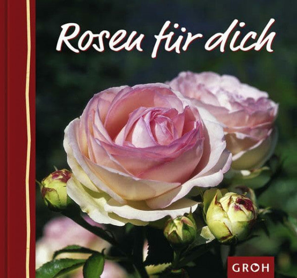 Metz, Jutta Rosen für dich (Blumengrüsse für dich)