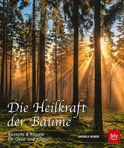 Huber, Andrea Die Heilkraft der Bäume: Rezepte & Rituale für Geist und Körper