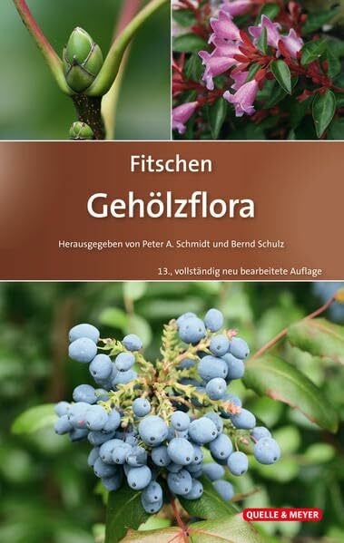 Schmidt, Peter A. Fitschen - Gehölzflora: Ein Buch zum Bestimmen der in Mitteleuropa wild wachsenden und angepflanzten Bäume und Sträucher. Mit Knospen- und Früchteschlüssel (Quelle & Meyer Bestimmungsbücher)
