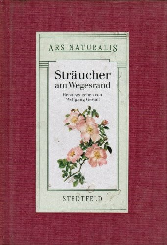 Sträucher am Wegesrand