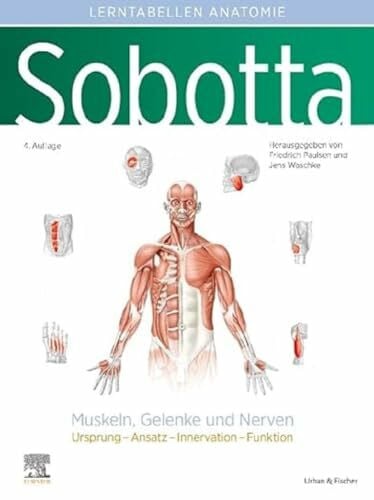 Paulsen, Friedrich Sobotta Lerntabellen Anatomie Muskeln, Gelenke und Nerven: Ursprung – Ansatz – Innervation – Funktion (VORKLINIK - Lehrbuch - Urban & Fischer-Verlag)