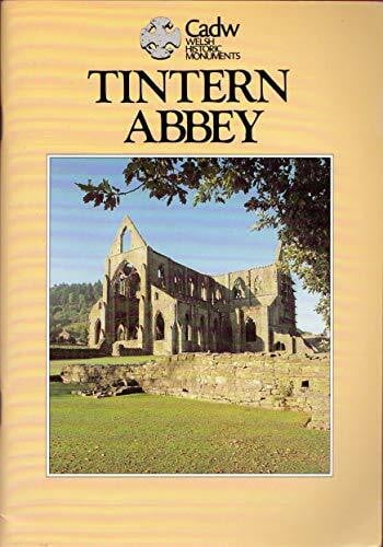 Robinson, David M. Tintern Abbey