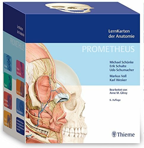 Schumacher, Udo PROMETHEUS LernKarten der Anatomie