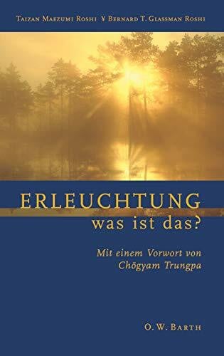 Dehne, Matthias Erleuchtung - was ist das? (O. W. Barth im Scherz Verlag)