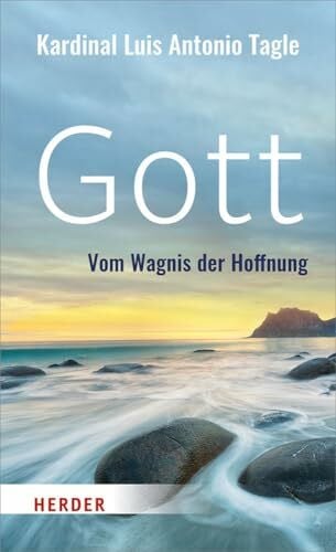 Stein, Gabriele Gott: Vom Wagnis der Hoffnung