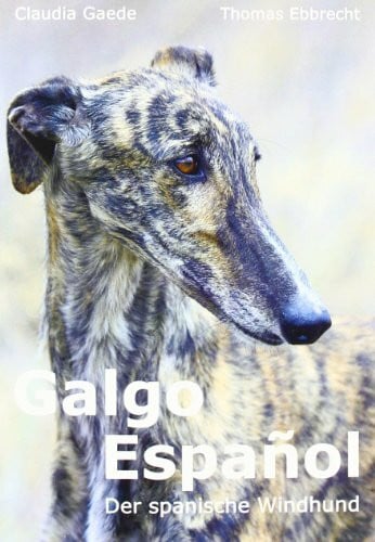 Ebbrecht, Thomas Galgo Español: Der spanische Windhund