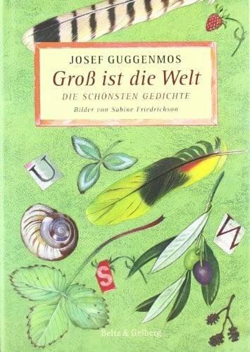 Friedrichson, Sabine Groß ist die Welt: Die schönsten Gedichte