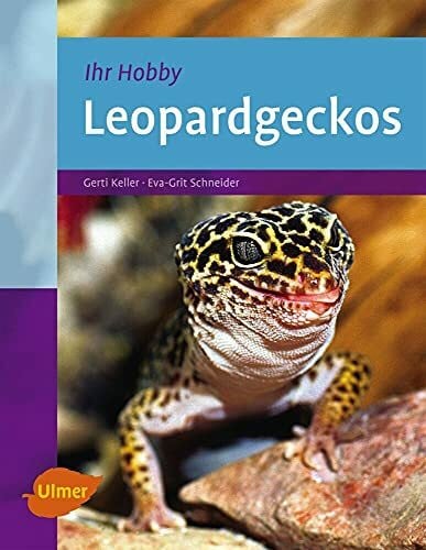 Schneider, Eva-Grit Leopardgeckos