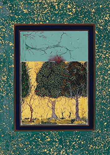Nairne, Eleanor Imran Qureshi: Where the Shadows are So Deep