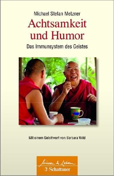 Metzner, Michael Achtsamkeit und Humor: Das Immunsystem des Geistes