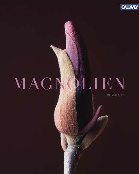 Kipp, Oliver Magnolien