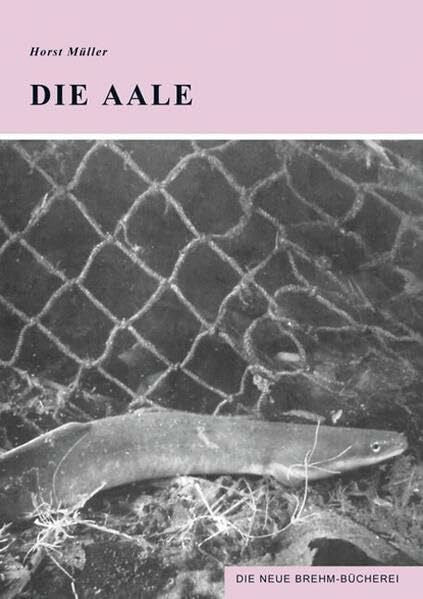 Müller, Horst Die Aale: Lebenszyklus und wirtschaftliche Bedeutung der Wanderfische zwischen Meer und Süsswasser (Die Neue Brehm-Bücherei: Zoologische, botanische und paläontologische Monografien)