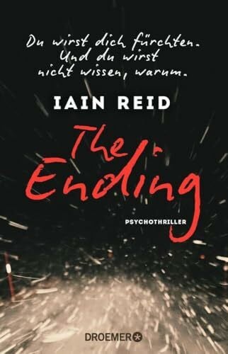 Kreutzer, Dr. Eberhard The Ending - Du wirst dich fürchten. Und du wirst nicht wissen, warum: Psychothriller