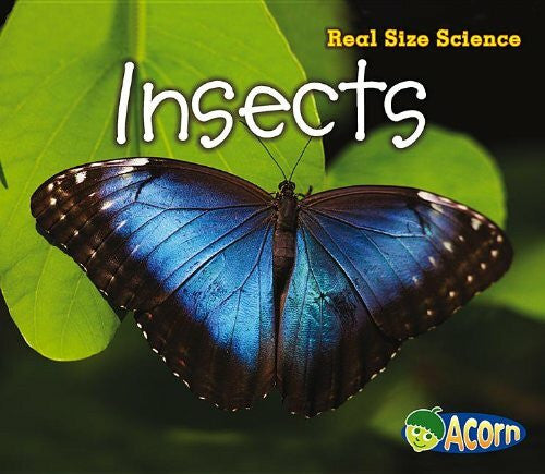 Rissman, Rebecca Insects (Acorn: Real Size Science)