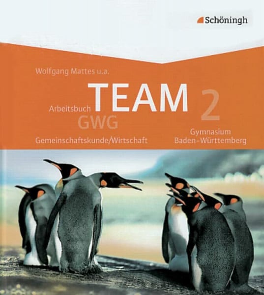 TEAM GWG - Arbeitsbücher für Gemeinschaftskunde/Wirtschaft an Gymnasien in Baden-Württemberg: Band 2