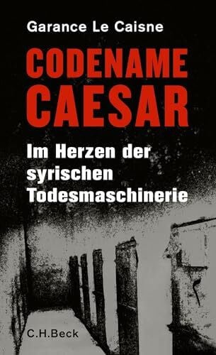 Lorenzer, Stefan Codename Caesar: Im Herzen der syrischen Todesmaschinerie