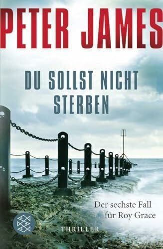 Goga-Klinkenberg, Susanne Du sollst nicht sterben: Thriller (Roy Grace, Band 6)