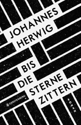 Herwig, Johannes Bis die Sterne zittern: Roman. Ausgezeichnet mit dem Korbinian - Paul-Maar-Preis für junge Talente 2017