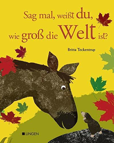 Teckentrup, Britta Sag mal, weißt du, wie groß die Welt ist?