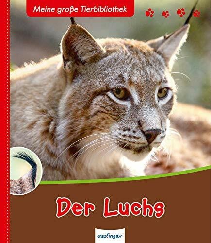 Gutjahr, Axel Der Luchs (Meine große Tierbibliothek)