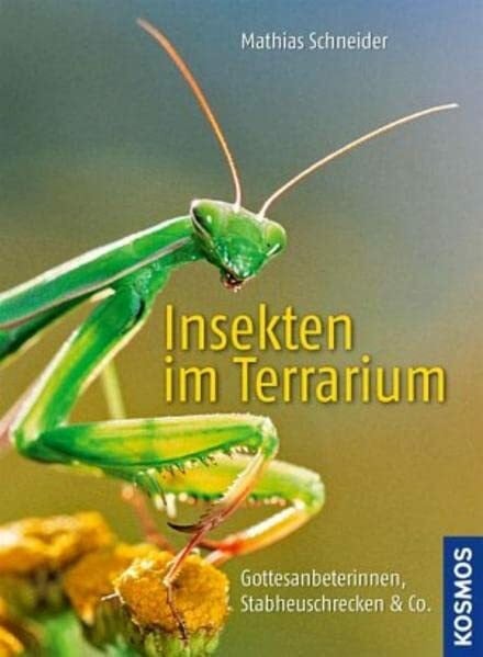 Schneider, Mathias Insekten im Terrarium: Gottesanbeterinnen, Stabheuschrecken & Co.