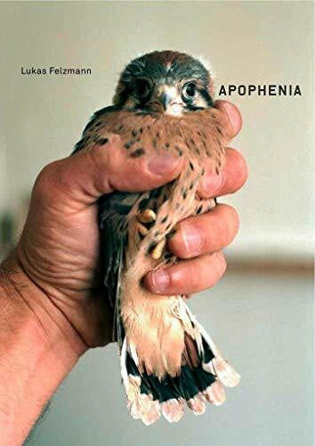 Pfrunder, Peter Lukas Felzmann. Apophenia: Ausst.Kat. Codax Publishers, Zürich