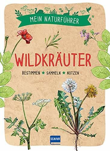 Couplan, Francois Naturführer - Wildkräuter: Bestimmen · sammeln · nutzen