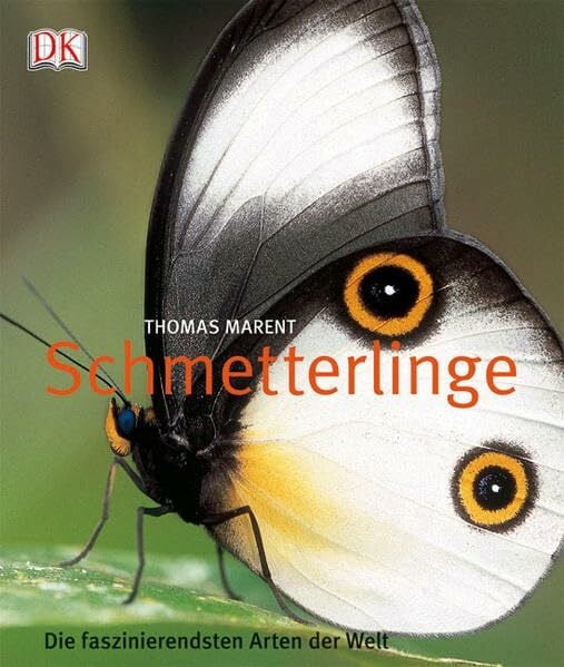 Marent, Thomas Schmetterlinge: Die faszinierendsten Arten der Welt