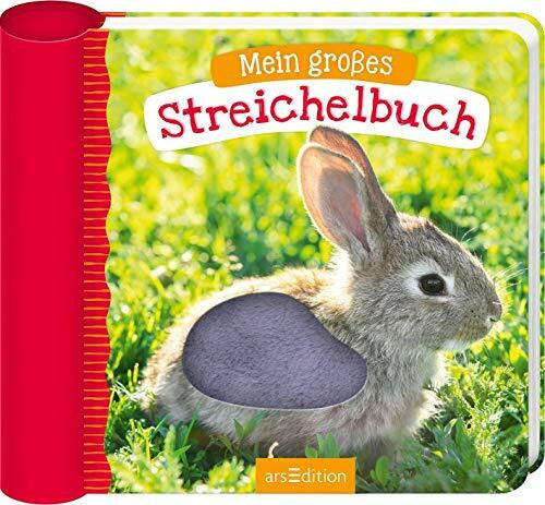 Mein großes Streichelbuch: Erster Fühlspaß für kleine Entdecker ab 12 Monaten