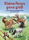 Diverse Kleine Ponys ganz groß