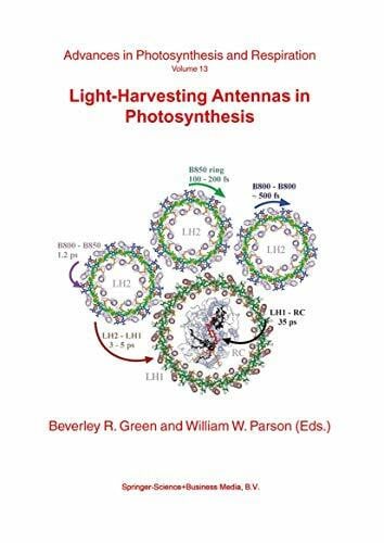 Parson, W.W. Light-Harvesting Antennas in Photosynthesis (Advances in Photosynthesis and Respiration, 13, Band 13)