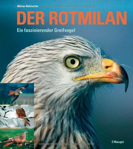 Aebischer, Adrian Der Rotmilan: Ein faszinierender Greifvogel