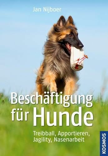 Nijboer, Jan Beschäftigung für Hunde: Treibball, Apportieren, Nasenarbeit, Jagility