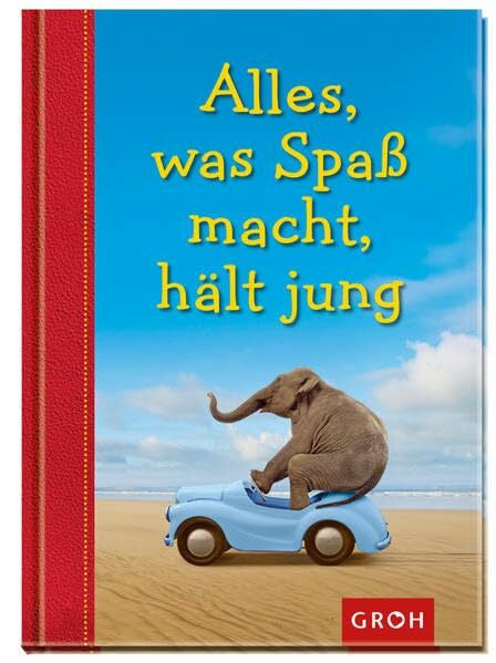 Groh, Joachim Alles, was Spaß macht, hält jung