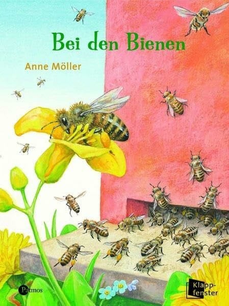 Möller, Anne Bei den Bienen (Kindersachbilderbuch)