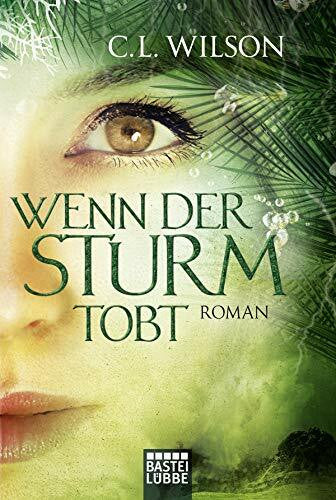 Nirschl, Anita Wenn der Sturm tobt: Roman (Mystral, Band 4)