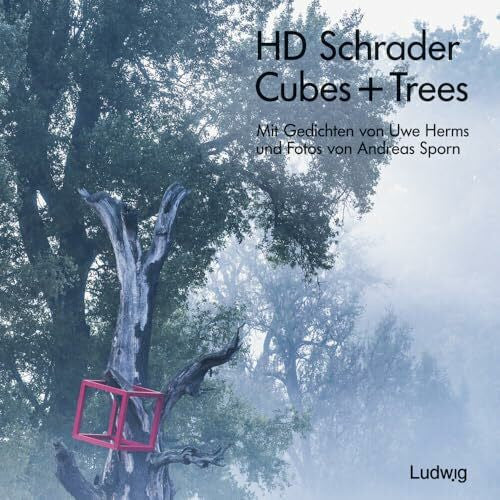 Sporn, Andreas Cubes + Trees: Installationen vom Schloss Waldenbuch und dem Museum Ritter bis zum Schloss Dätzingen