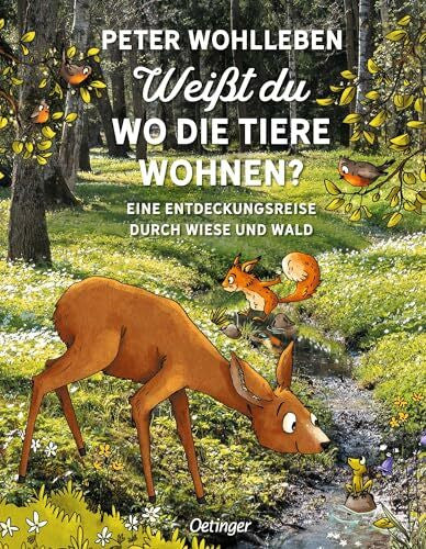 Herrmann, Dagmar Weißt du, wo die Tiere wohnen?: Eine Entdeckungsreise durch Wiese und Wald: Interessantes Kinderbuch über die Natur und die Tierwelt ab 6 Jahren