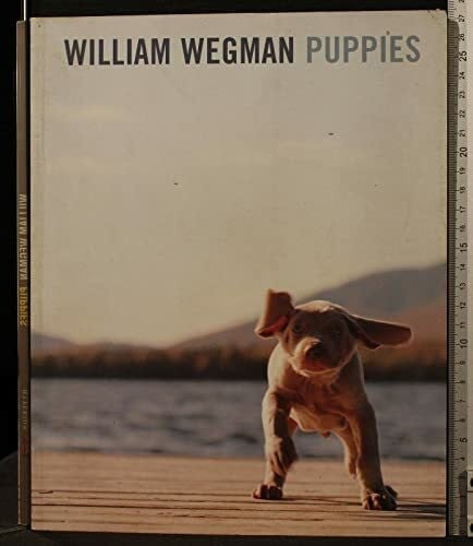 Wegman, William William Wegman Puppies