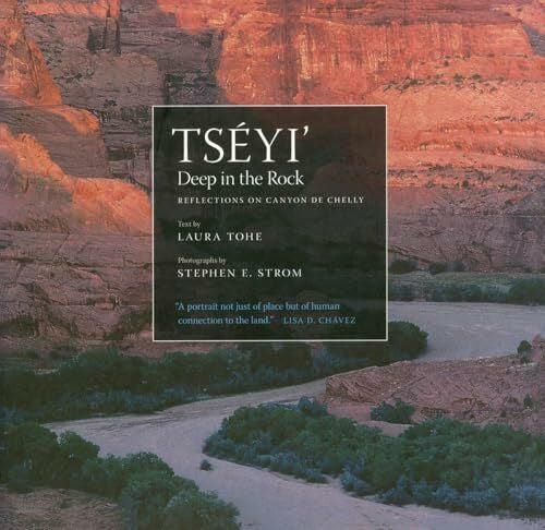 Tohe, Laura Tséyi' / Deep in the Rock: Reflections on Canyon de Chelly: Reflections on Canyon de Chelly Volume 54 (Sun Tracks, Band 54)