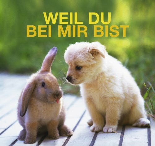 Reeck, Doreen Weil Du Bei Mir Bist