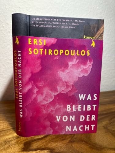 Wille, Doris Was bleibt von der Nacht: Roman