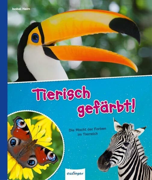 Schlag, Kirsten Tierisch gefärbt!: Die Macht der Farben im Tierreich