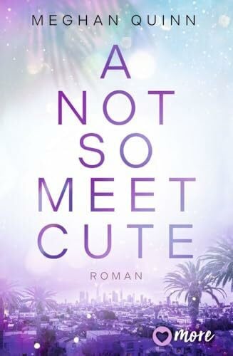Quinn, Meghan A Not So Meet Cute: Roman (Cane Brothers, Band 1)