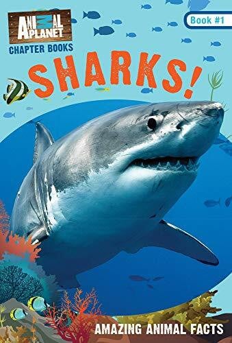 Stein, Lori Sharks! (Animal Planet Chapter Books #1)
