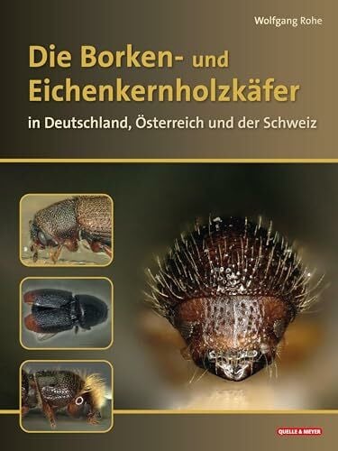 Rohe, Wolfgang Die Borkenkäfer Deutschlands, Österreichs und der Schweiz: Mit Splint- und Eichenkernholzkäfern
