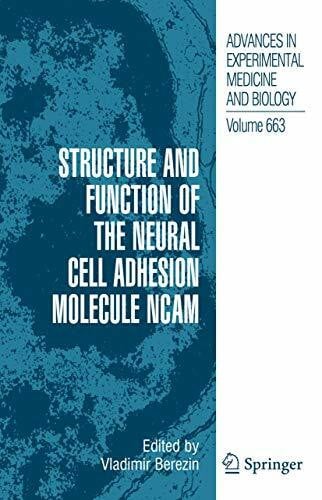 Berezin, Vladimir Structure and Function of the Neural Cell Adhesion Molecule NCAM (Advances in Experimental Medicine and Biology, 663, Band 663)