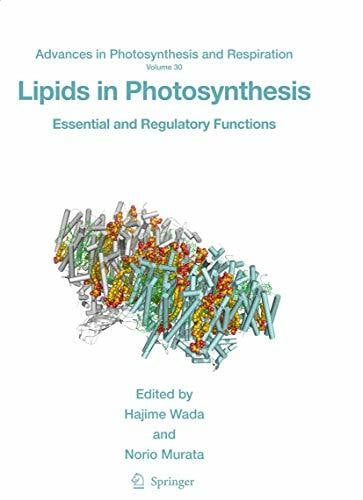 Murata, Norio Lipids in Photosynthesis: Essential and Regulatory Functions (Advances in Photosynthesis and Respiration, 30, Band 30)