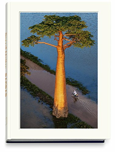 Maitre, Pascal BAOBAB: Der Zauberbaum