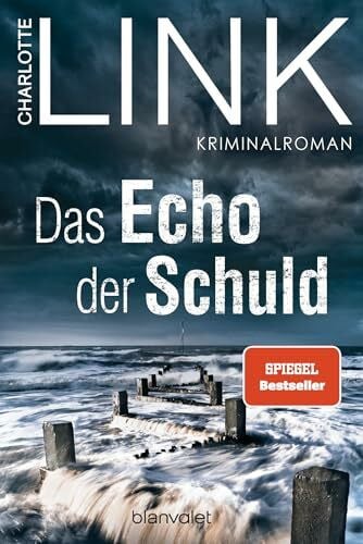 Link, Charlotte Das Echo der Schuld: Kriminalroman